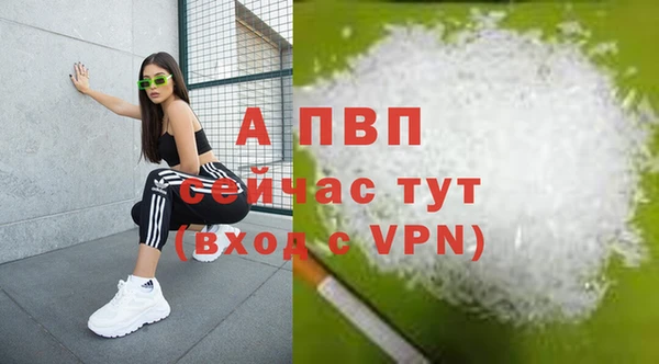 хмурый Няндома
